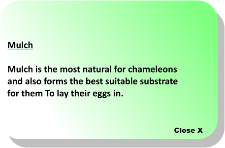 Close X Mulch  Mulch is the most natural for chameleons  and also forms the best suitable substrate  for them To lay their eggs in.